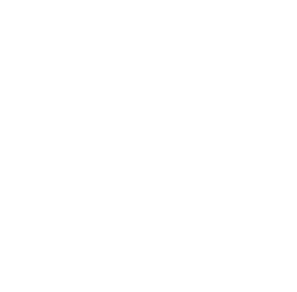 FINANCIAL & SOCIAL   Withholding finances   Being forced to take  a loan out   Being stopped from  getting a car and    