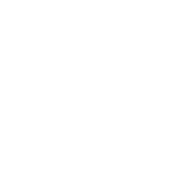 COERCIVE CONTROL   Gaslighting   Love-bombing   Monitoring of time   Taking phone away   Destruction of possessions     