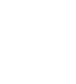 PHYSICAL   Bite marks   Bruising   Scars    Walking on egg shells    Pulling hair   Choking   Burn marks