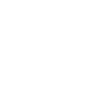 Support Services Local Support Services National Support Services 