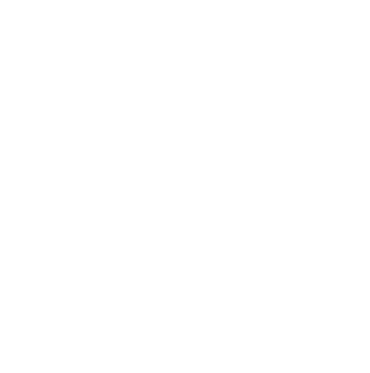 Information Practitioner  Buzzwords & Phrases Effects  How to Recognise Domestic Abuse Victim Reporting Domestic Abuse   