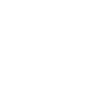 Perpetrator Domestic Abuse & the Perpetrator 